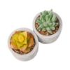 Simulation Succulent Plant Ceramic Pot Bonsai, Home Office Fresh Decoration, Simulation Pot Es1333