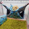 Meerschweinchen Sommer Hängematte Warmes Bett Versteckhaus Käfig Nest für Gleitbeutler Frettchen Eichhörnchen Einfach zu bedienen