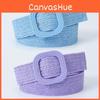 Elegant Korean Style 4cm Square Buckle Pp Grass Elastic Decorative Waist Belt For Women In Charming Candy Colors