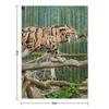 Clouded leopard Throw Blanket Sleeping Bag Blankets For Bed Heavy Multi-Purpose Blankets