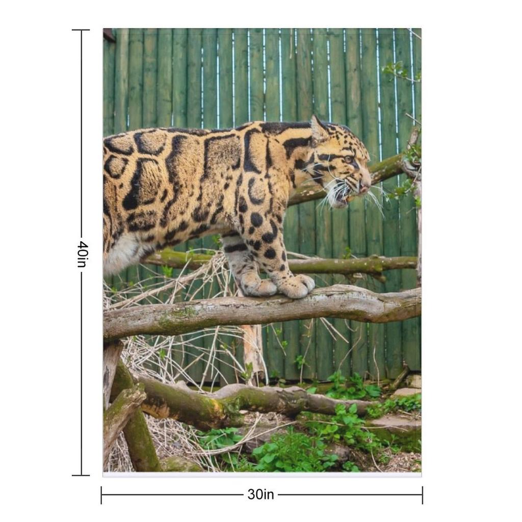 Clouded leopard Throw Blanket Sleeping Bag Blankets For Bed Heavy Multi-Purpose Blankets
