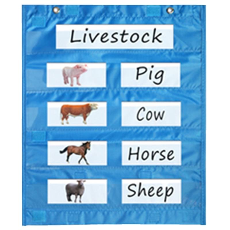 Магнитный настенный карманный органайзер для классной доски, Магнитный карманный органайзер для ежедневного расписания, мероприятий, классных демонстраций