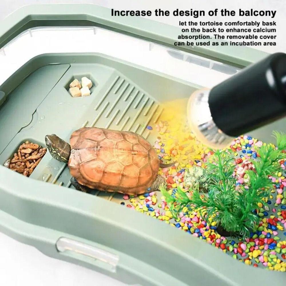 Anti-Slip Turtle Habitat Widen Turtle Tank Container Turtles Tank Aquarium  Crayfish Small Reptile