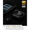 Final ZE3000 SV Wireless Earphones, HiRES Compatible, ANC