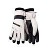 Thicken Winter Ski Gloves with Storage Bag Card Holder  Gloves Snowboard Gloves  Girls
