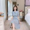 Temperament High-end Small Fresh and Elegant Floral Dress Spring New Belly Thin Medium and Long Skirt
