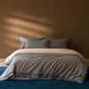 Winter Warmth: Minimalist Brushed Cotton 4-Piece Bedding Set