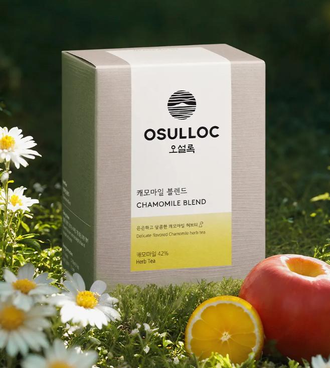 OSULLOC "Spring Has Come" Seasonal Tea Set – Limited Edition Spring Tea Collection