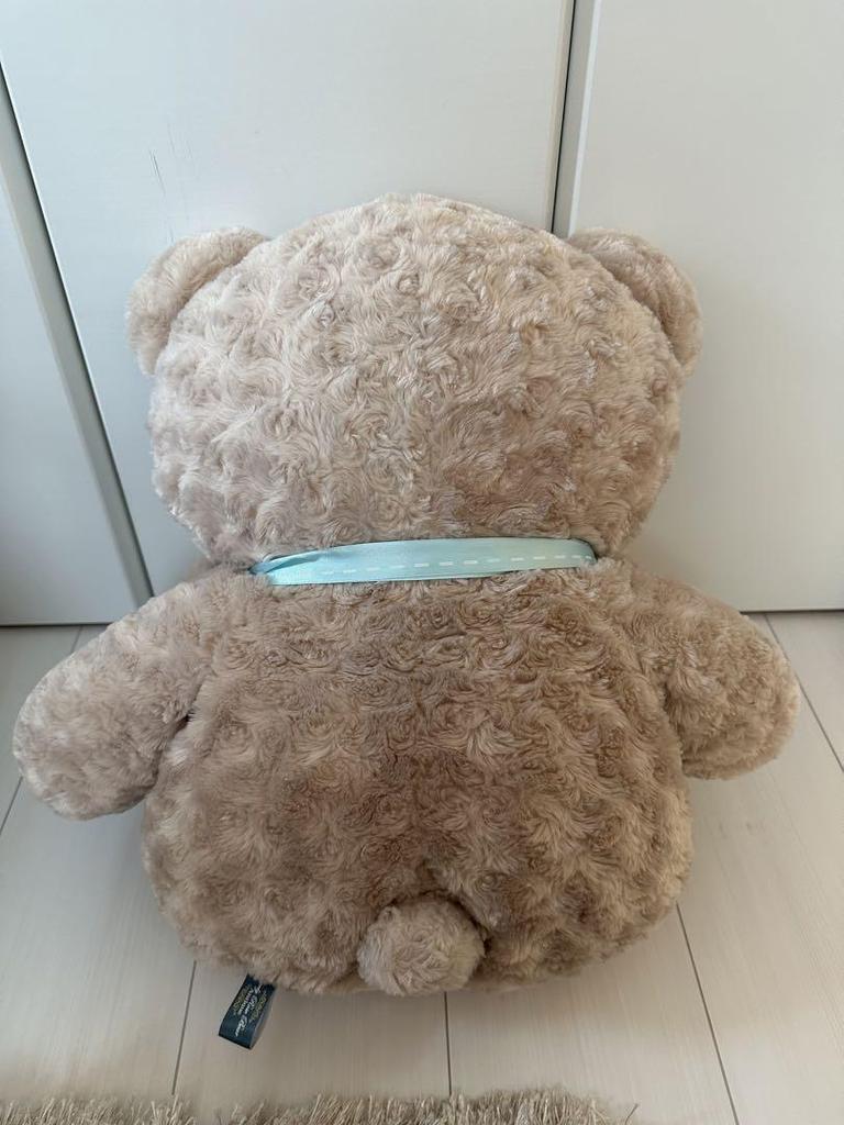 [USED] Excellent Condition Teddy Bear Plush Toy, Extra Large