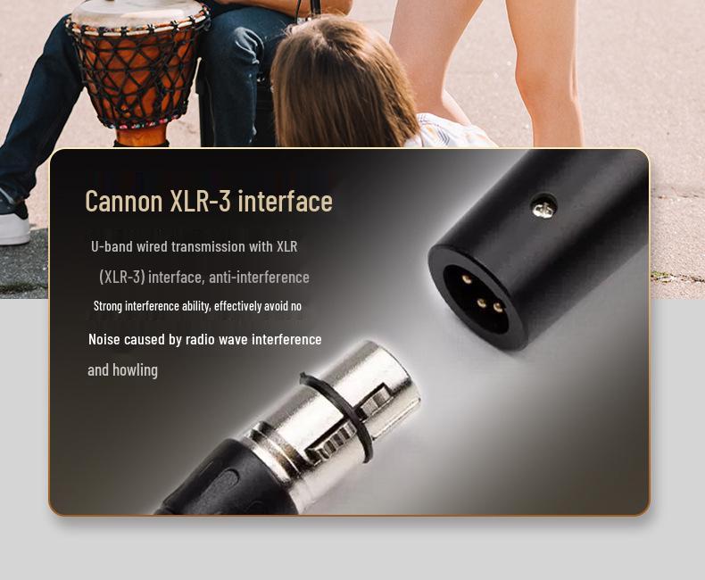 Full Metal Handheld Wired Microphone for Live Stage, Outdoor Singing, and Home Audio.