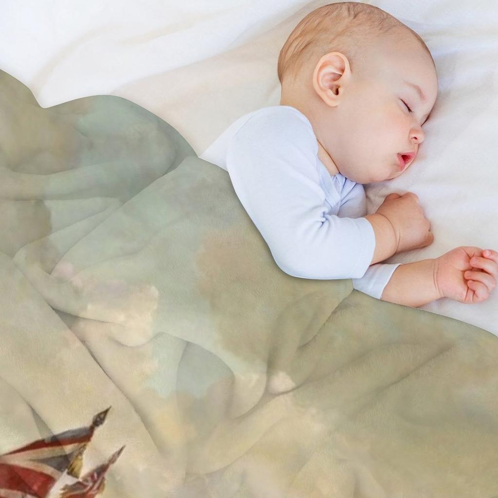 HD. The 28th Regiment at Quatre Bras, by Lady Butler, 1875 Throw Blanket Luxury Decoratives Soft Beds For Sofa Thin Blankets