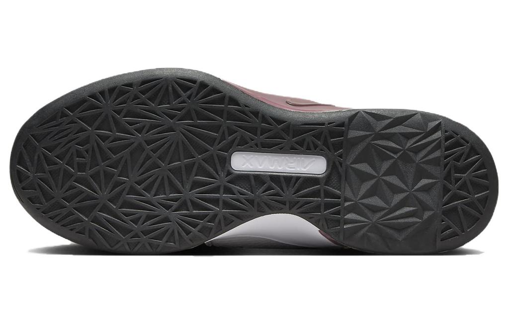 Women's Sneakers Nike Air Max Bella TR 5 Photon Dust Smokey Mauve White (Women's)