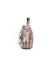 SOFTTHUMBNAIL Moca, British Shorthair