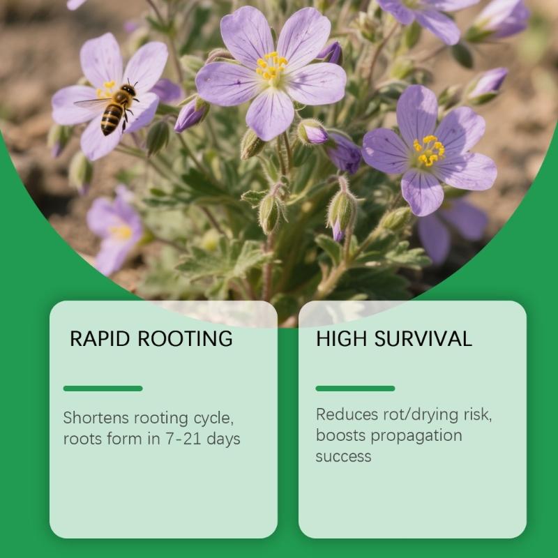 Plant Root Growth Stimulator Liquid Fertilizers Concentrate For Healthy Flowers And Trees Enhances Root Development