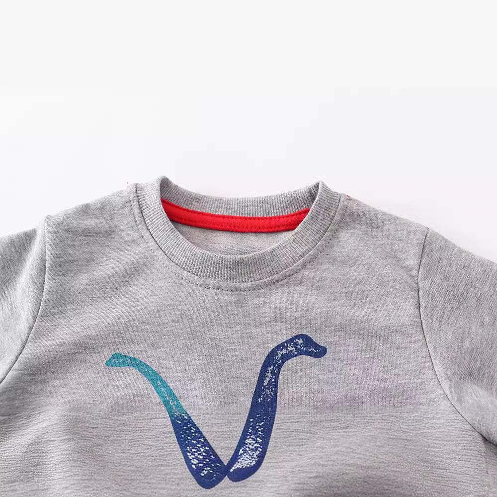European & American Kids Autumn Long Sleeve Cartoon Hoodie for Boys - 2020 New Casual Cotton Children's Clothing