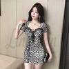 Leopard Print Mesh V-Neck Bodycon Mini Dress