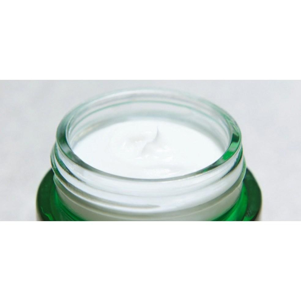 Innisfree Green Tea Ceramide Cream