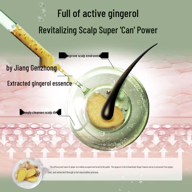 Schwarzkopf Ginger Essence Oil Control Hair Conditioner