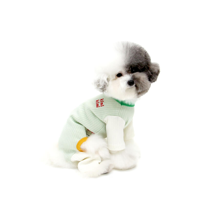 COTTON CANDY ALL IN ONE-GREEN M