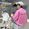 Boys' Summer Dress Set 2026 New Style Big Boys' Summer Loose Thin Short Sleeve Children's Korean Style Pi Handsome Top