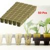 50100 Pcs Plant Cloning Starter Cubes with Superior Water Drainage and Airflow