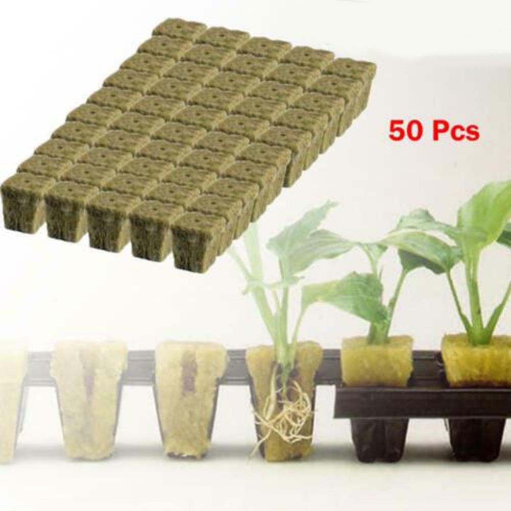 50100 Pcs Plant Cloning Starter Cubes with Superior Water Drainage and Airflow