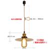 Retro Pendant Hanging Ceiling Nordic Modern Industrial E26 Bulb Not Steel for Dining Interior Ceiling Light Fixture Retro Copper 2 Copper-colored