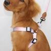 Dogs Harness & Leash Colorful Small Medium Dog Chest Belt Colorful Harness Rope