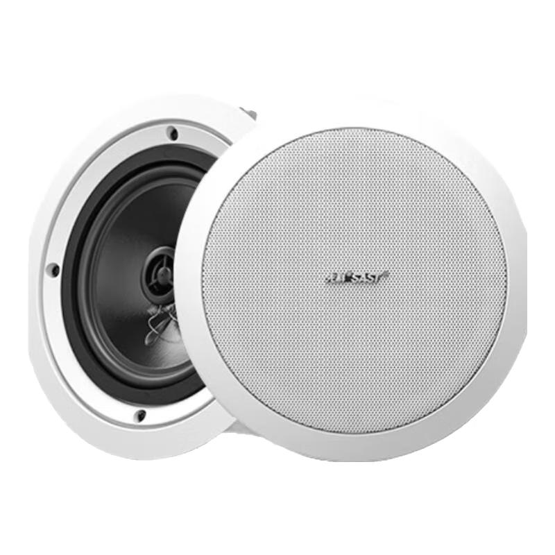 SAST YS4-6 8-Inch Coaxial In-Ceiling Speaker CN plug (adapter included)