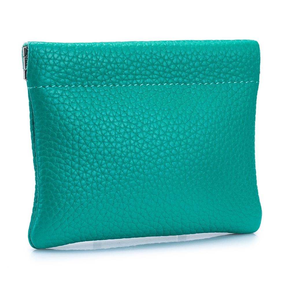 Damen Mini Leder Federclip Geldbörse - Aufbewahrungstasche für Kopfhörer und Münzen