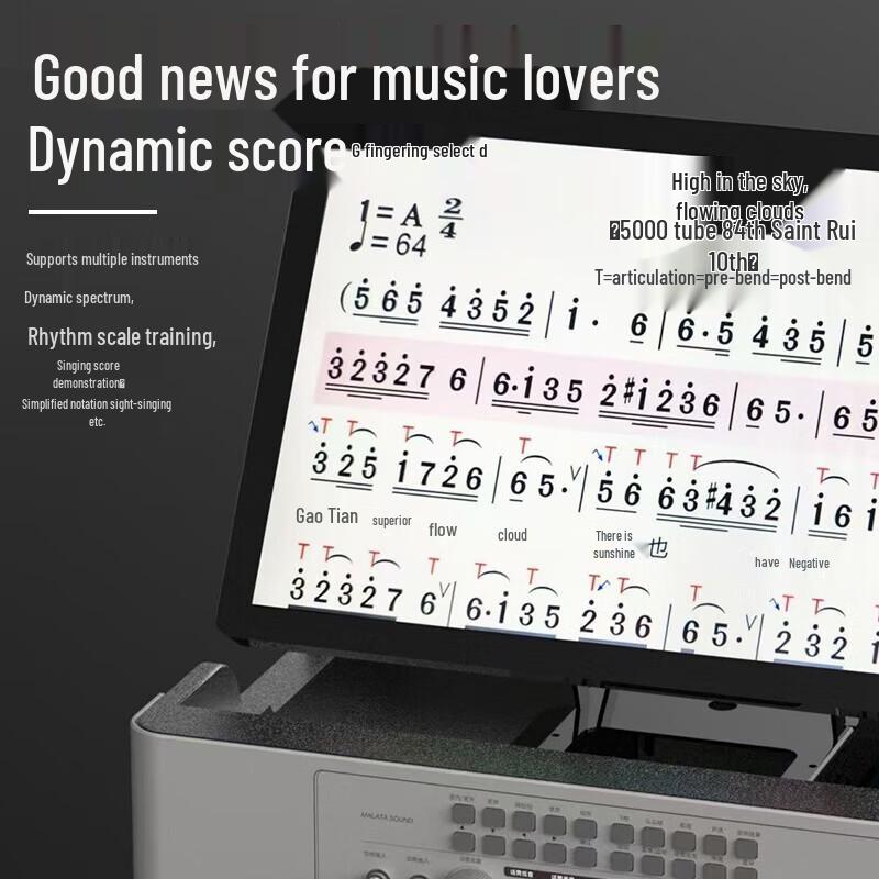 Malata M+9528 High Power Outdoor Portable Karaoke Machine with Screen CN plug (adapter included)