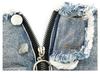 Autumn Women's Sexy Low Waist Ripped Denim Shorts