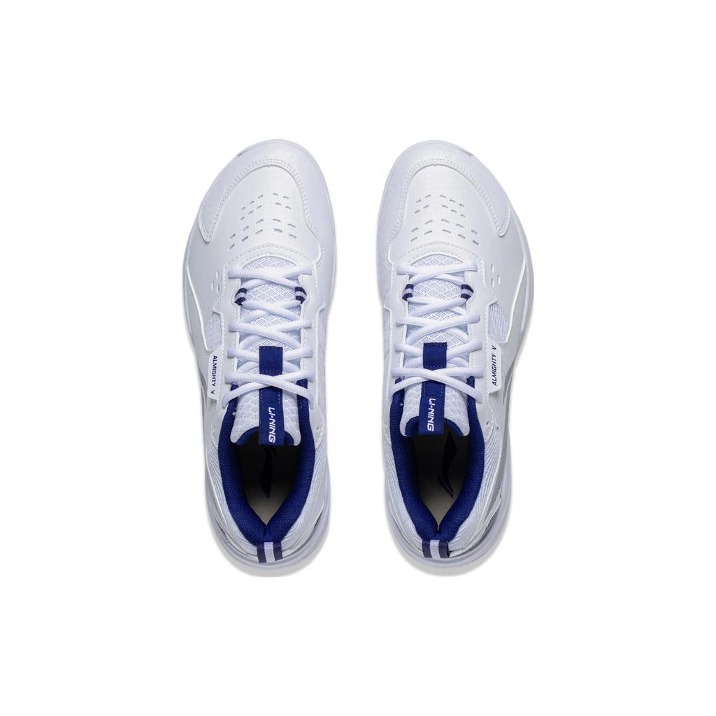 New LiNing Ace V Collection Anti Slip And Wear Resistant Breathable Low Top Badminton Shoes Unisex White Blue AYTT001-3
