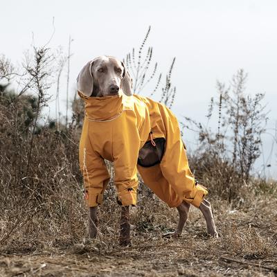 Orta ve Büyük Köpek Dört Bacaklı Mont, Su Geçirmez, Rüzgar Geçirmez ve Sıcak Dört Bacaklı Mont, Weimar Whipbit Kapsamlı Köpek Kıyafetleri.