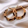 Silver Needle Resin Tiger's Eye Stone Round Leopard Pattern Earrings Retro Maillard Earrings Niche High-end Earrings