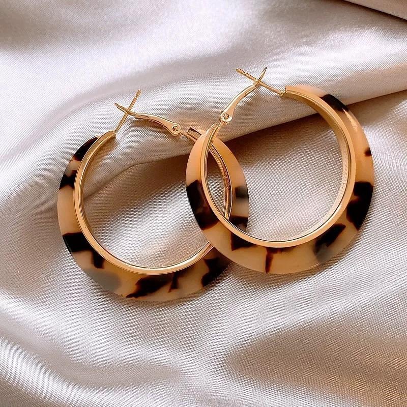 Silver Needle Resin Tiger's Eye Stone Round Leopard Pattern Earrings Retro Maillard Earrings Niche High-end Earrings