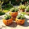 Sturdy Resin Planter for Greenery Halloween Pumpkin Planter, Jack-O-Lantern Flower Pot, Decorative Autumn Gift Plant Lovers Pot Succulents Fall