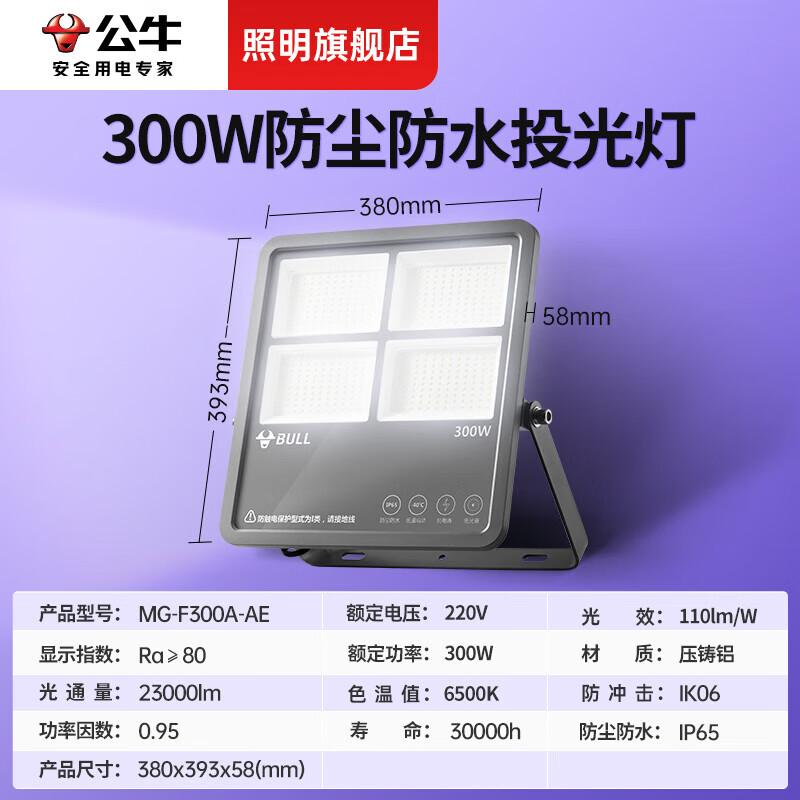 BULL TG03 300W Outdoor LED Floodlight