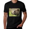 Alaskan Bear Tshirt Stylish Graphic Short Sleeve Top
