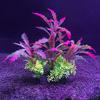 Yousheng Aquarium Ornament High Simulation Decorative Anti-fade Fake Water Grass Fish Tank Decoration for Home Decor
