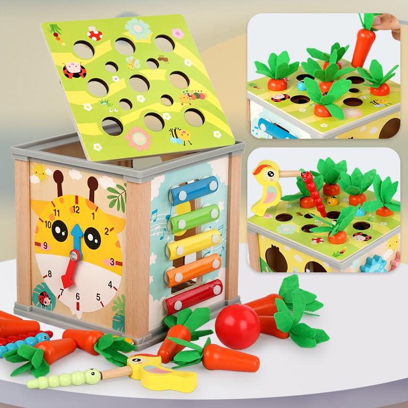 9 In 1 Montessori Permanence Box Carrots Toys Child Wooden Shape Sorting & Matching Educational Toys for Kid Over Age 1-Year-Old