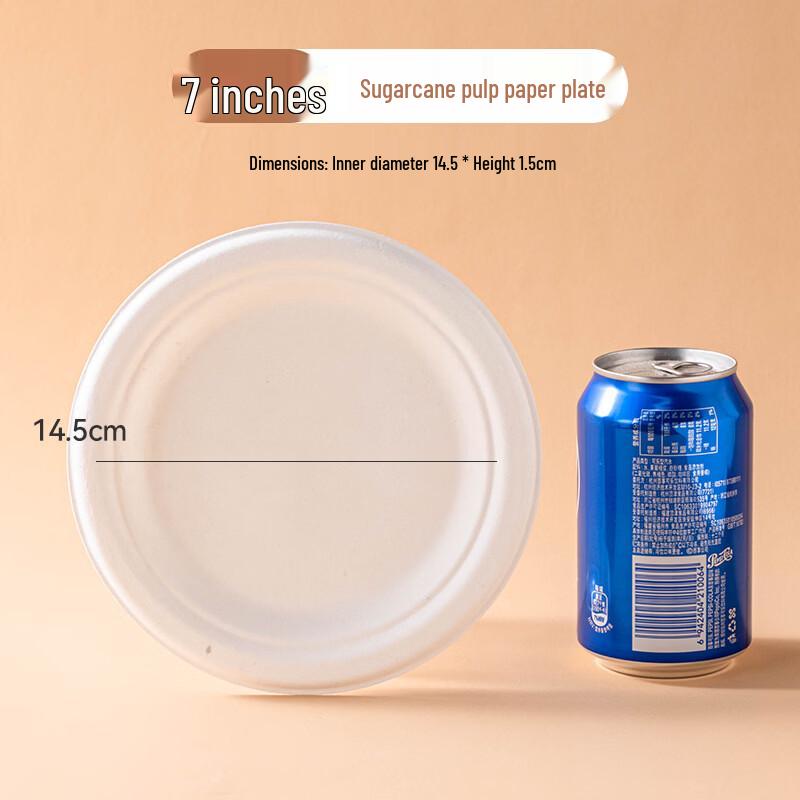 Eco-Friendly Sugarcane Pulp Disposable BBQ Plates