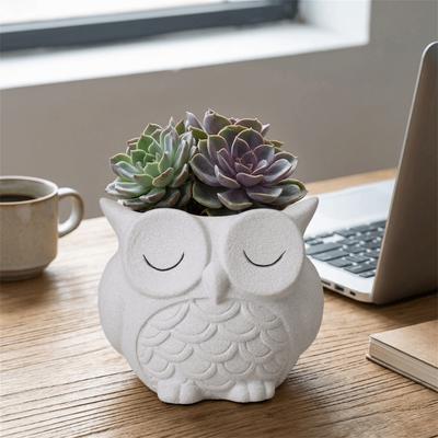 Cute Owl Planter Ceramics Green Onion Pots Bonsai Vase Growing Pots  Garden