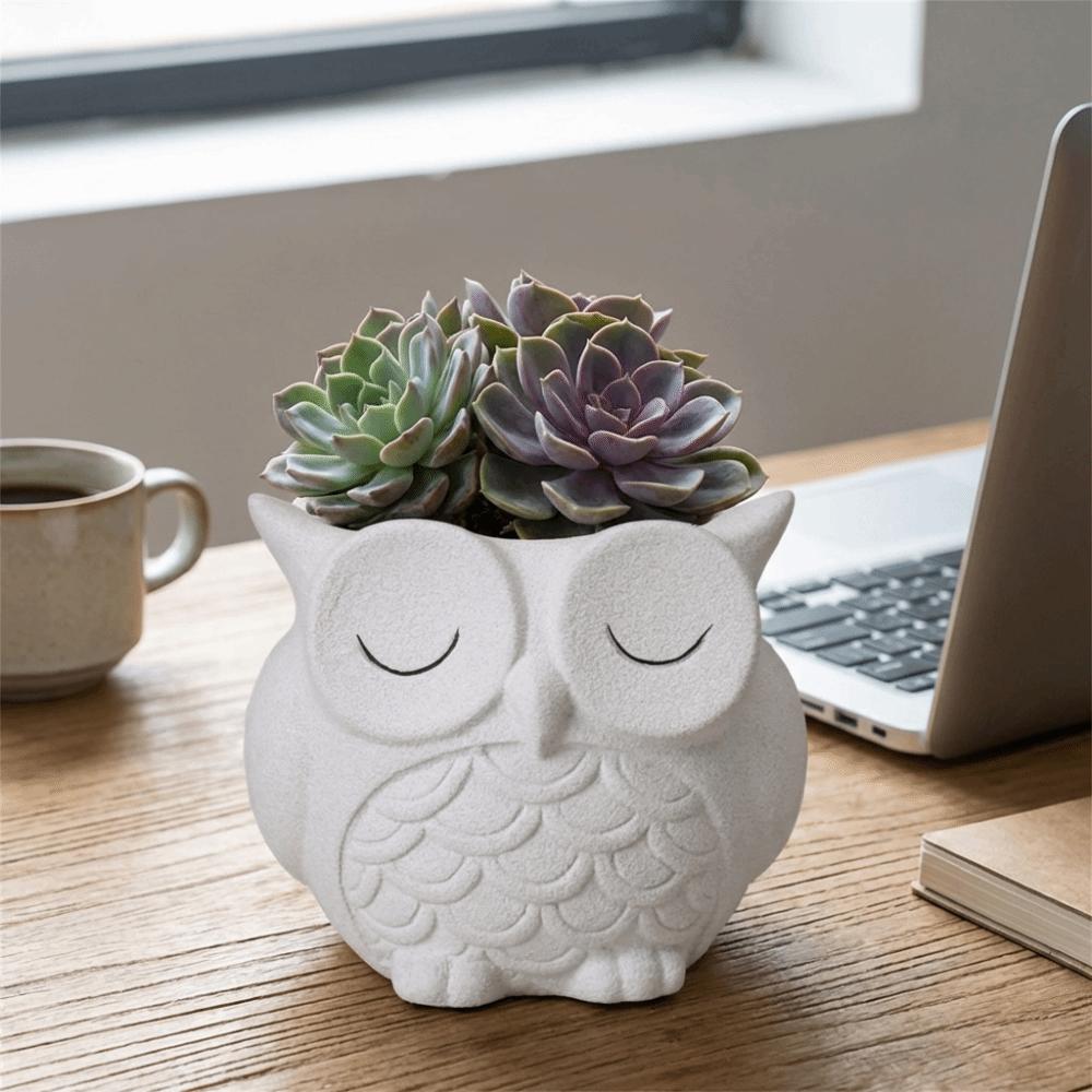 Ceramics Succulent Pot Cute Cactus Pot Unique Owl Planter  Balcony