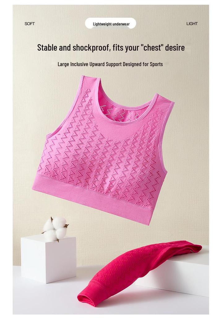Women's Seamless Sports Set: Shockproof, Sweat-Wicking, Breathable, High-Elasticity Yoga & Fitness Underwear