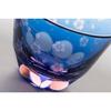 Glass Studio Saiho Edo Kiriko Guinom Pair Cherry Blossom Pattern Made Japan Wooden Box Included