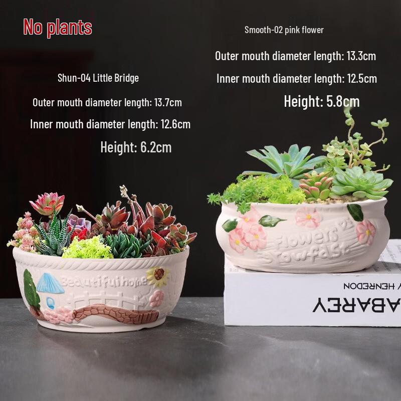 Large Ceramic Succulent Planter