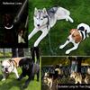 Reflective Double Dog Leash For Two Dogs Nylon Puppy Dog Coupler For Walking Training Small Medium Large Big Two Dogs Lead