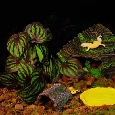 Reptilienbecken Künstliche Pflanzen Eidechsenbaum Terrarium Zubehör Tier Frosch Schildkröte Dekoration Chamäleon Sonnenplattform