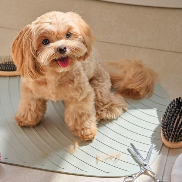 Heytail Pet Multipurpose Non-Slip Bath Mat, Korean Pet Shampoo